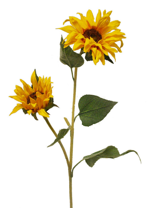 (L105) 023617YEL