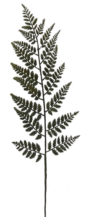 (L003) 102575GRN