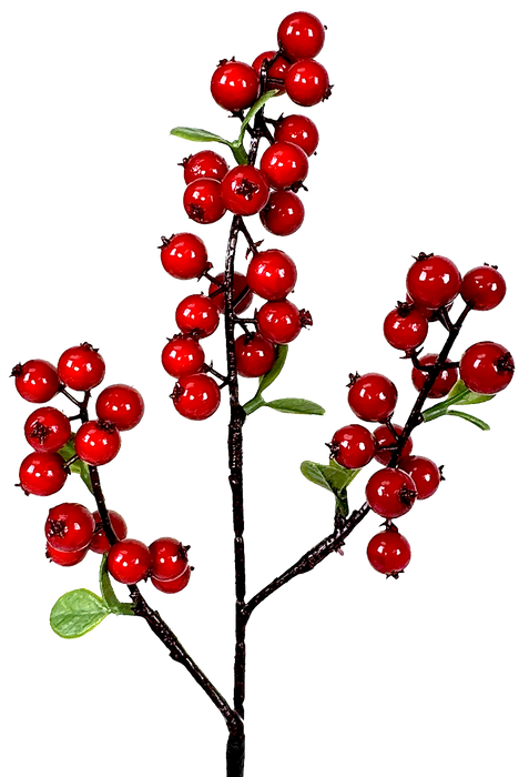 (X920) 326730RED