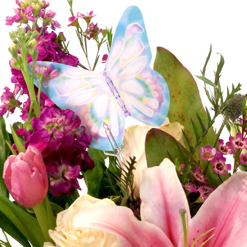 Spring Enclosure Cards