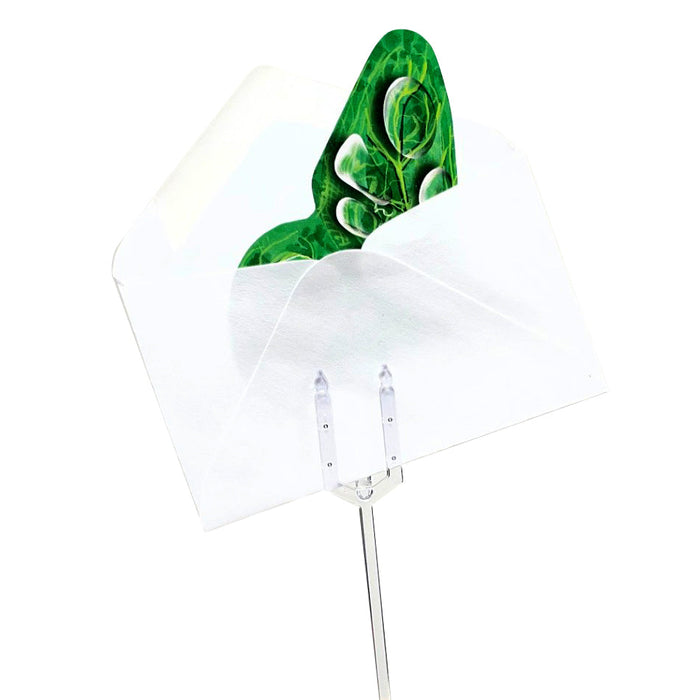 (P476) BF024-DEW