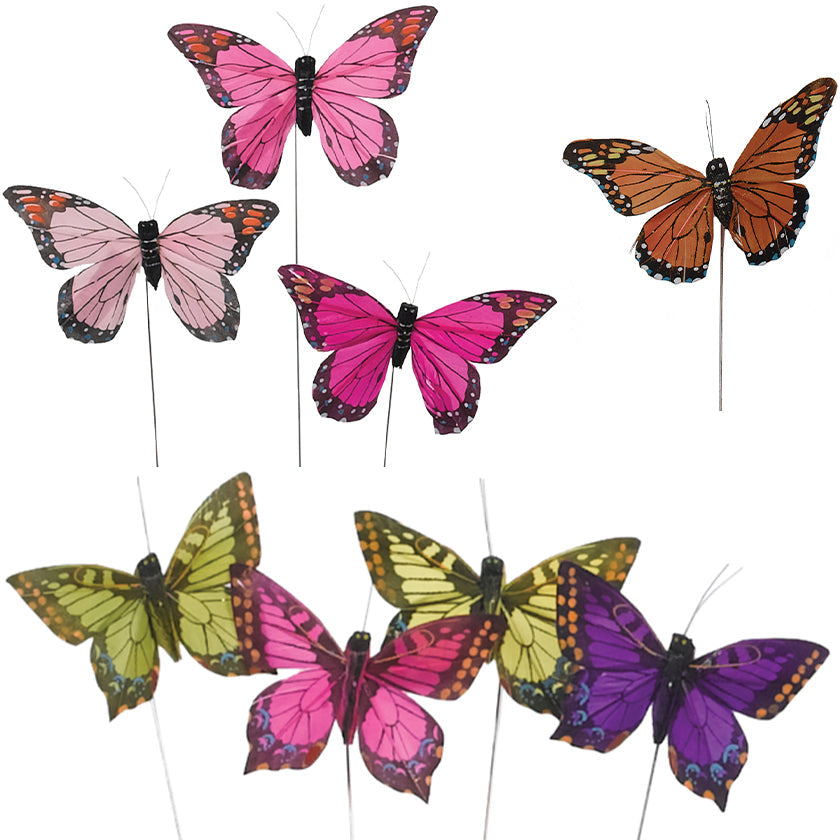 Butterflies