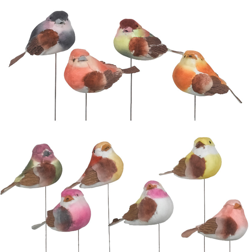 Mushroom Birds