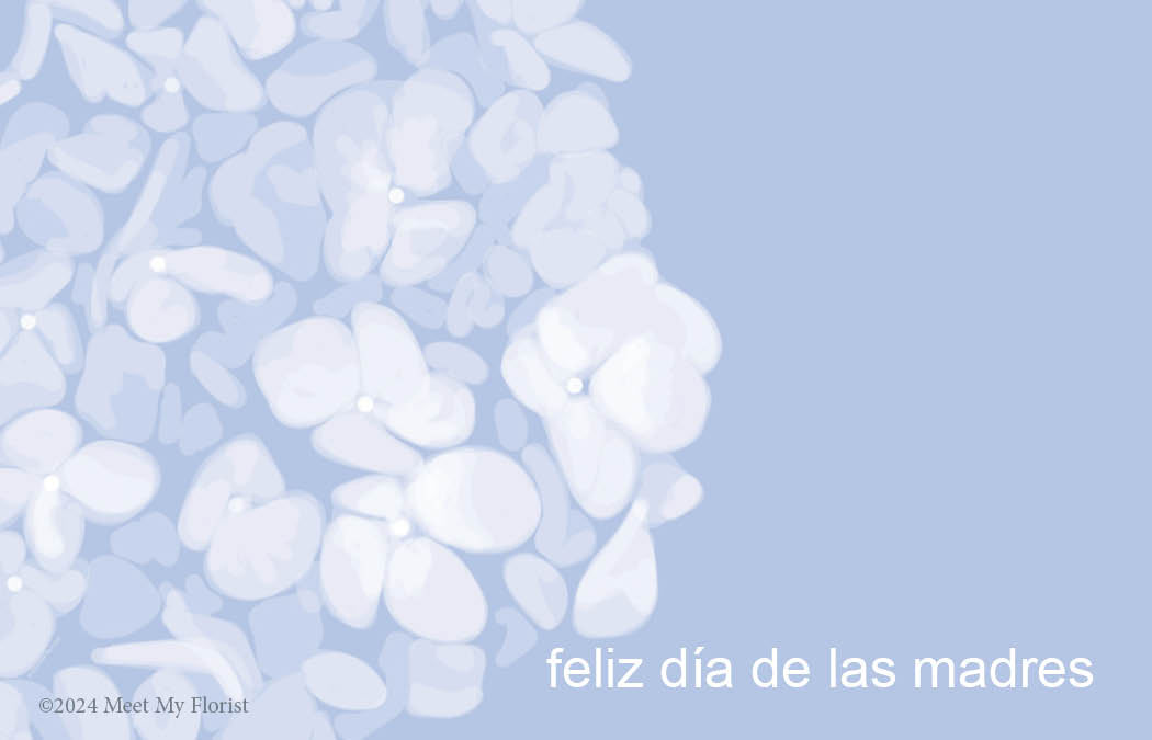 (P941) - FC241-MD