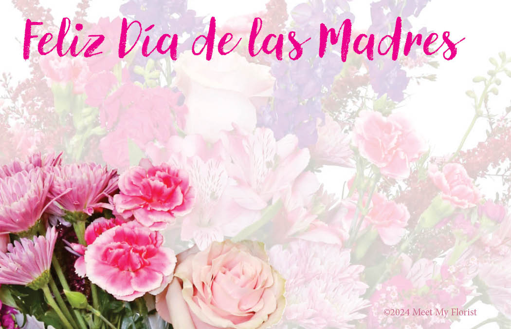 (P943) - FC243-MD