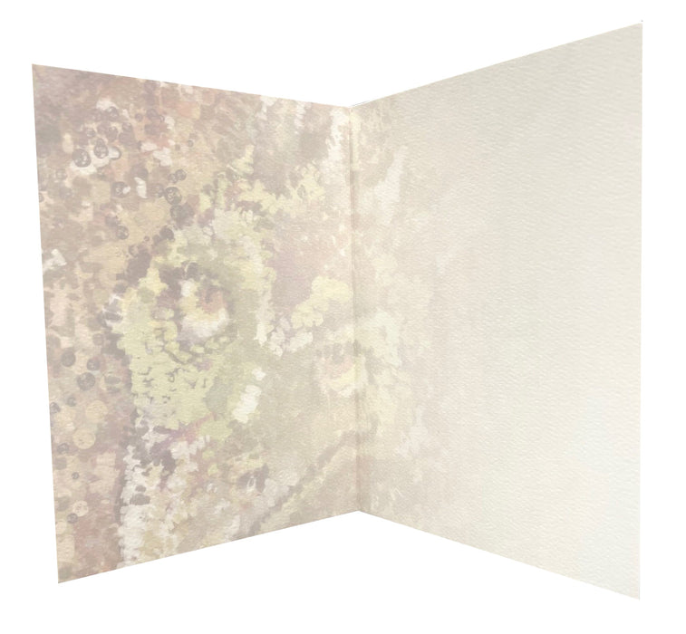(C117) GC017