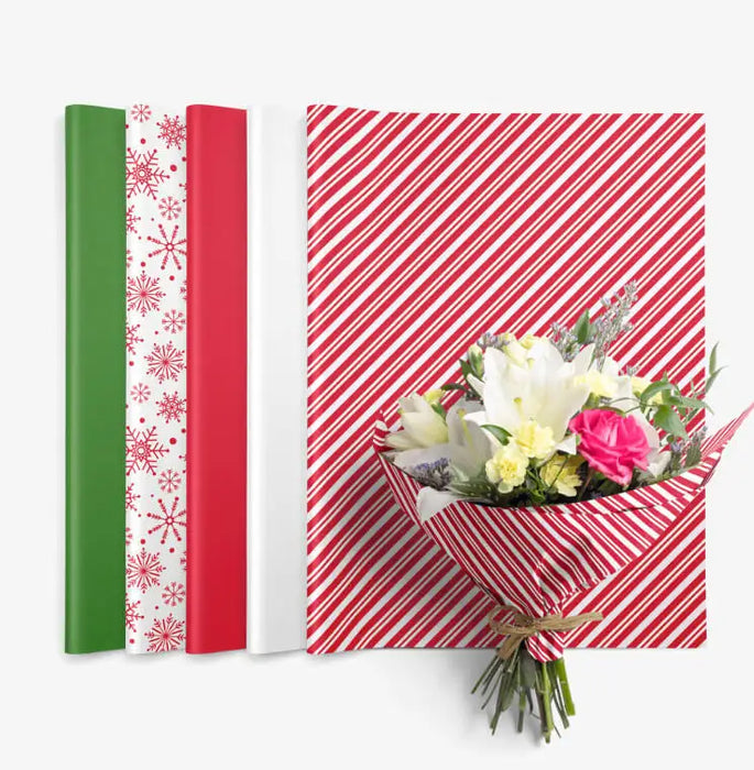 (E222) WT18242XMASSS1