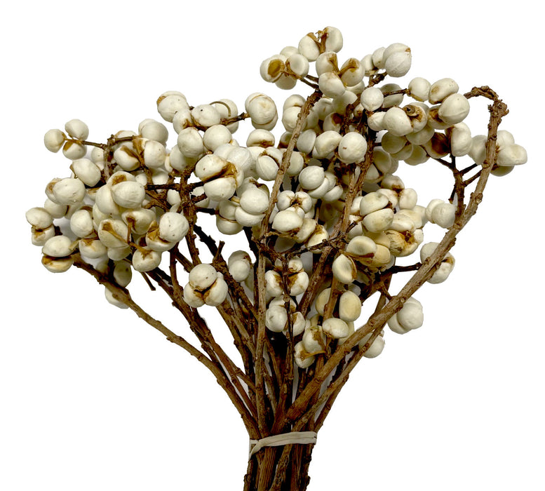 (K587) 07700-White