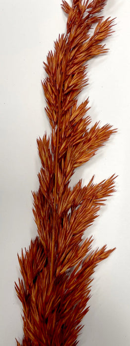 (K589) 08410-Burnt Oak